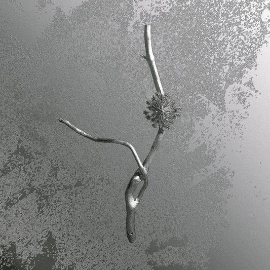 Gaia Banfi - La Maccaia