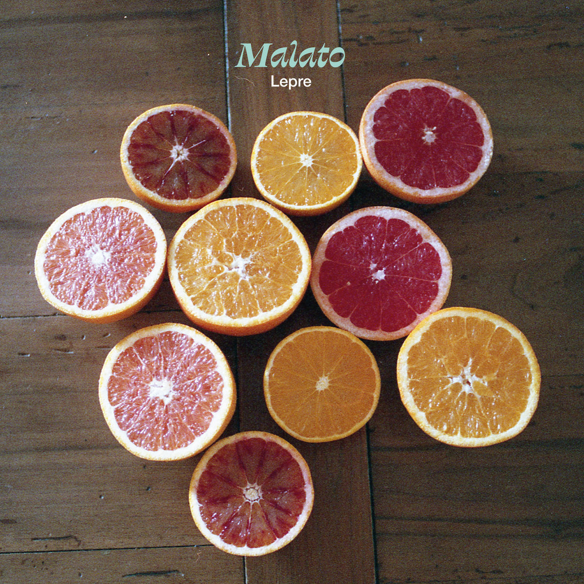 Lepre - Malato