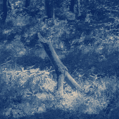 Gaia Banfi - Al suo riposo, in luce 7'' vinyl LTD EDITION