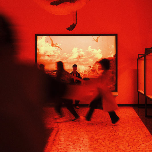 Ibisco - FOMOROMANZO Vinyl (first 250 copies in Red Vinyl LTD)