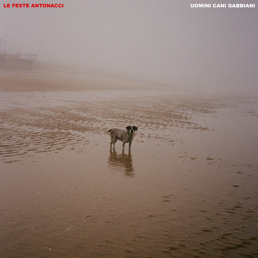 Le Feste Antonacci - UOMINI CANI GABBIANI