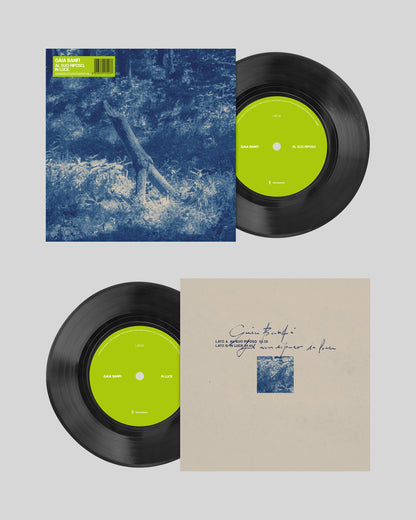 Gaia Banfi - Al suo riposo, in luce 7'' vinyl LTD EDITION
