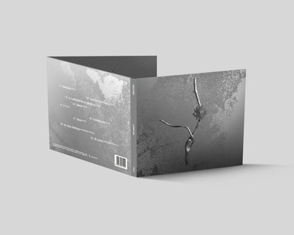 Gaia Banfi - La Maccaia